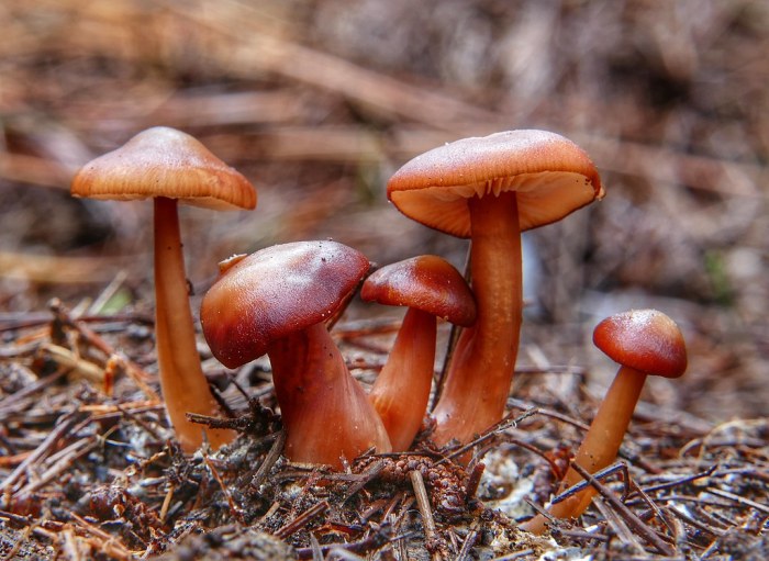 Common myths about winning jackpot slots explained