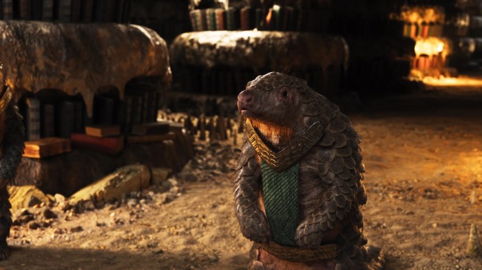 What are the hidden secrets of classic kingdom